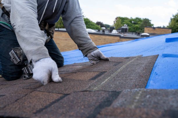 Quick and Trustworthy Emergency Roof Repair Services in Brewster, OH