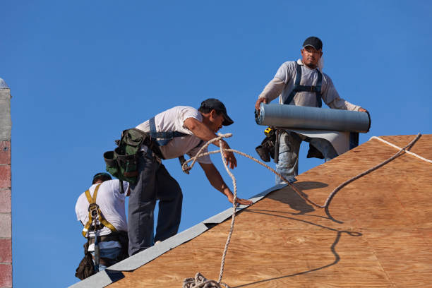 Best Shingle Roofing Installation  in Brewster, OH